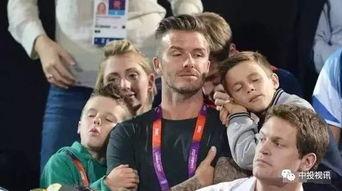 娱乐圈吃瓜好爸爸